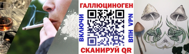 хочу   Липецк  кракен ссылки  Псилоцибиновые грибы ЛСД 